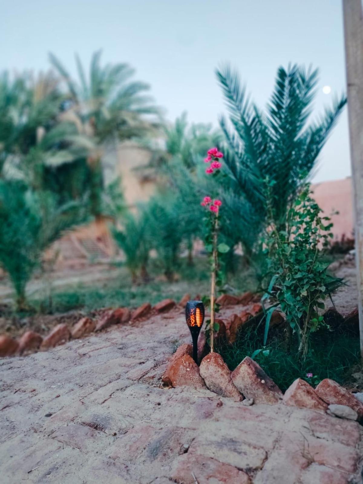 Abou El Leef Luxor