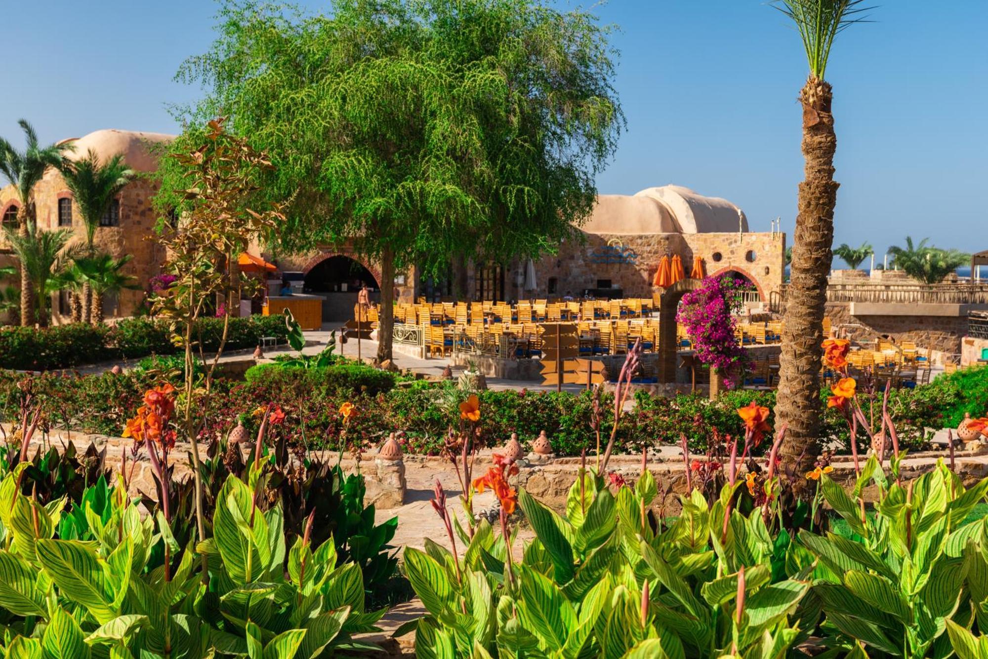 Utopia Club 4* El Qoseir