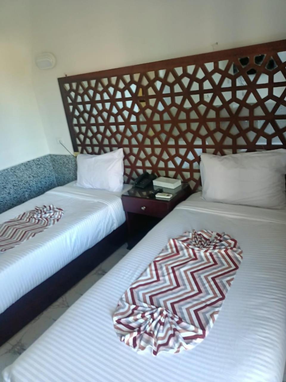 Dolphin Continental 3*