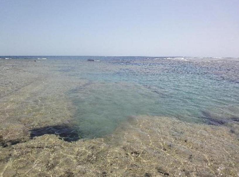 Dolphin Continental Hotel 3*