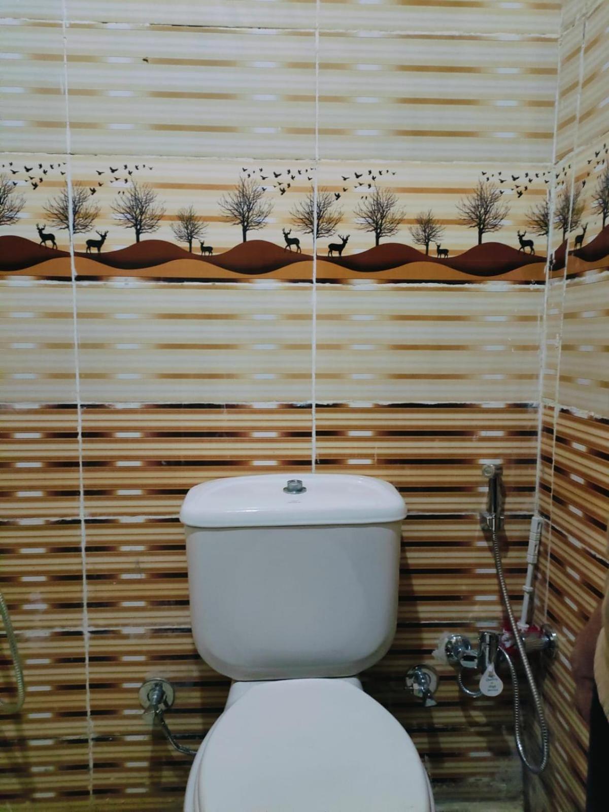 Guest house Abou El Leef Luxor