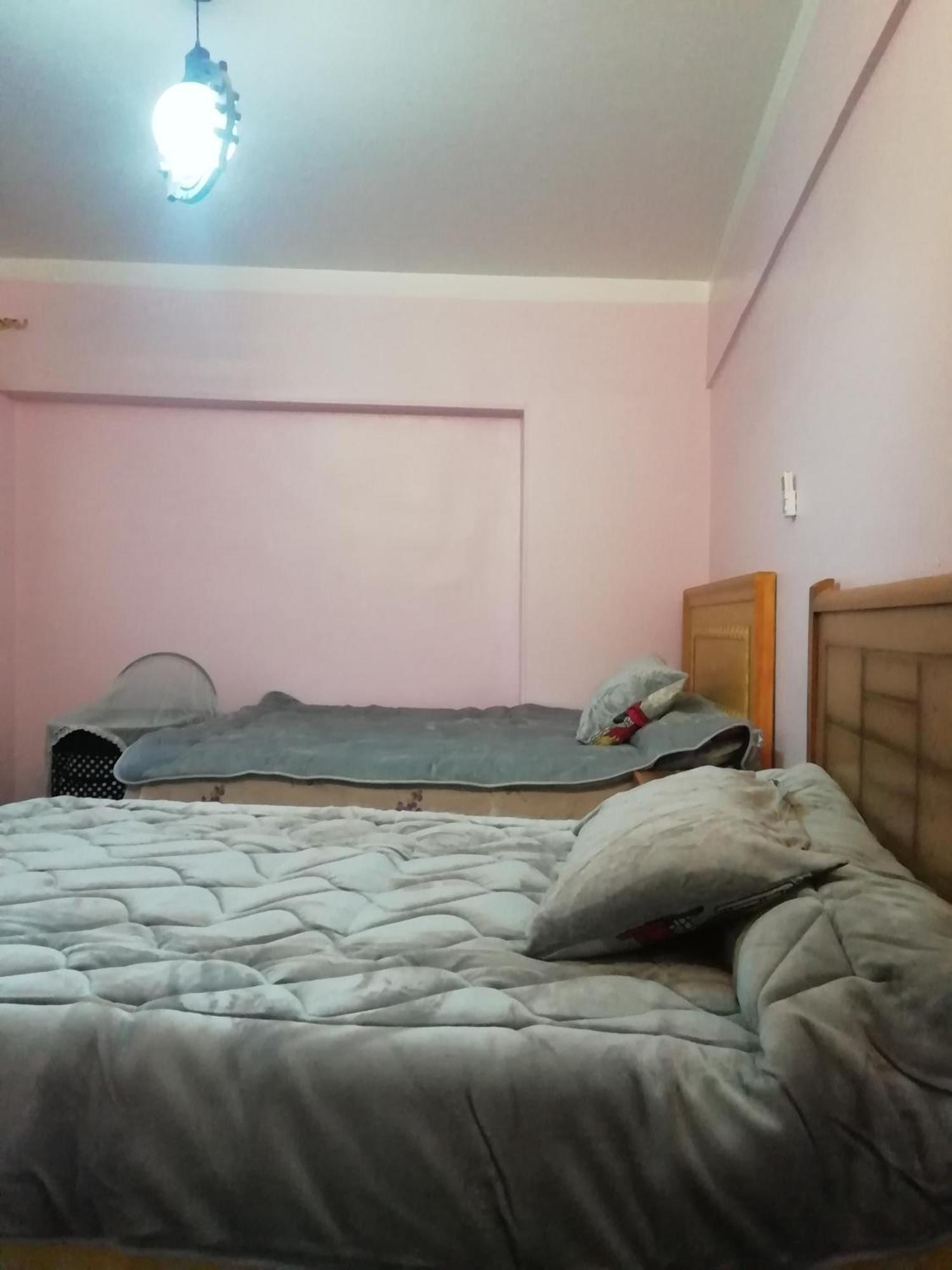 Panda House Alexandria