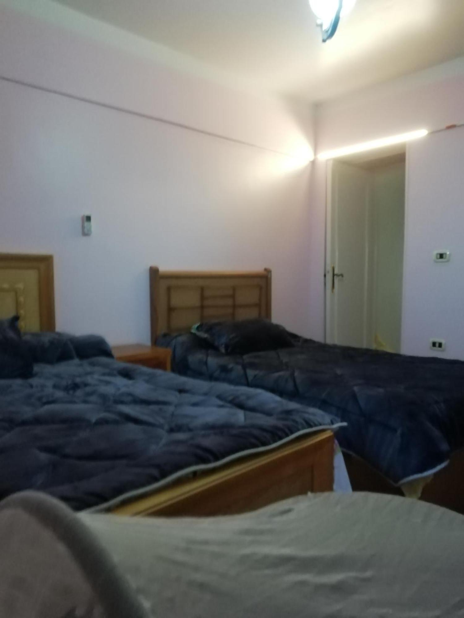 Panda House Apartment Alexandria
