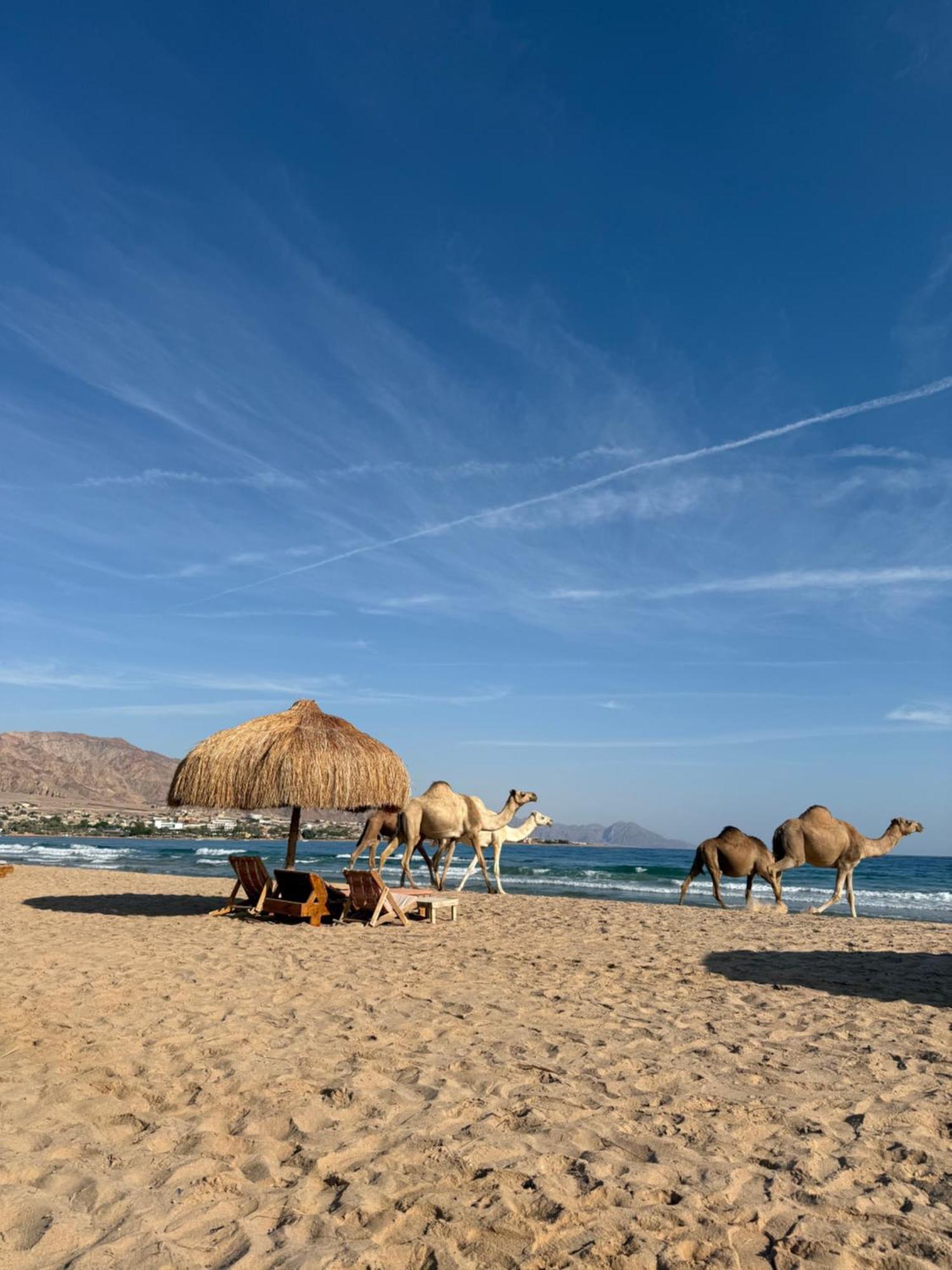 Sukoon Nuweibaa Nuweiba