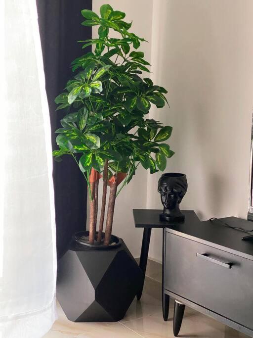 Apartment Heaven Rent House Of Cairo