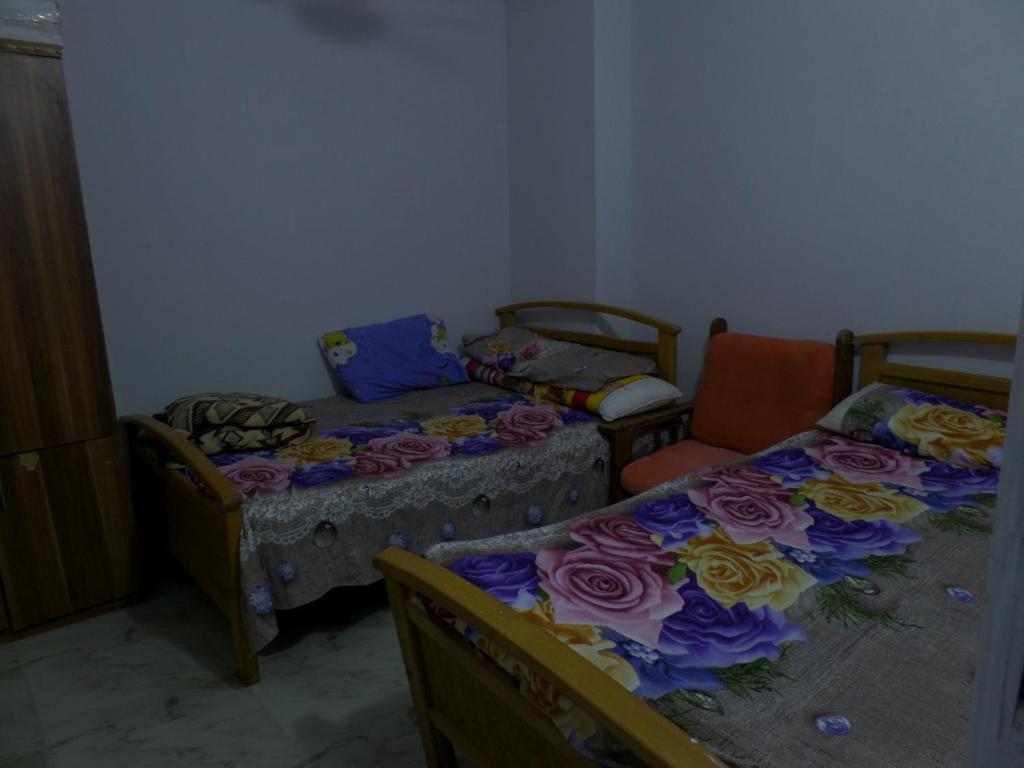 برج بيلو بيتش Alexandria