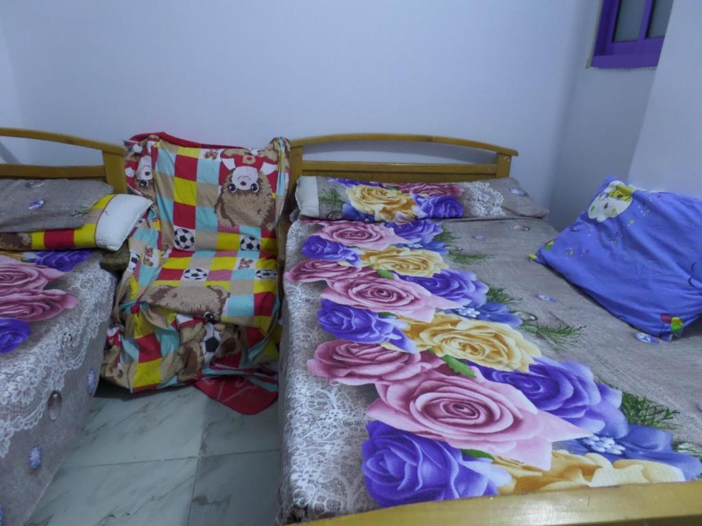 برج بيلو بيتش Apartamento Alexandria