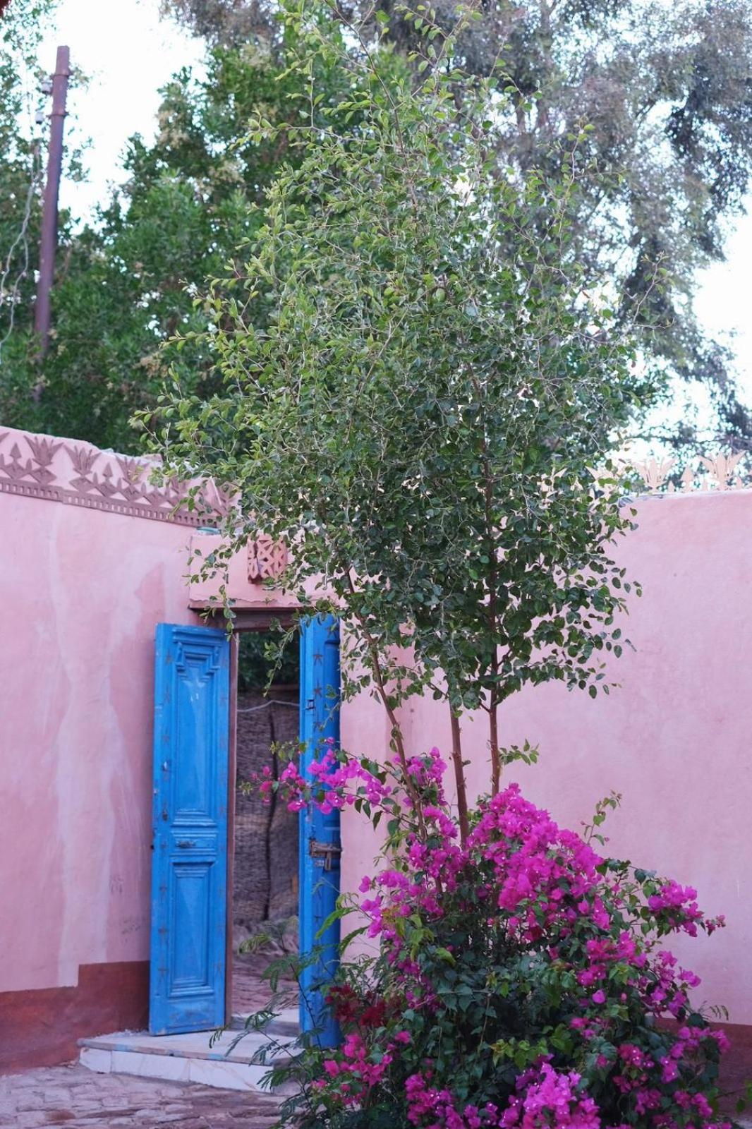 Abou El Leef Guest house *