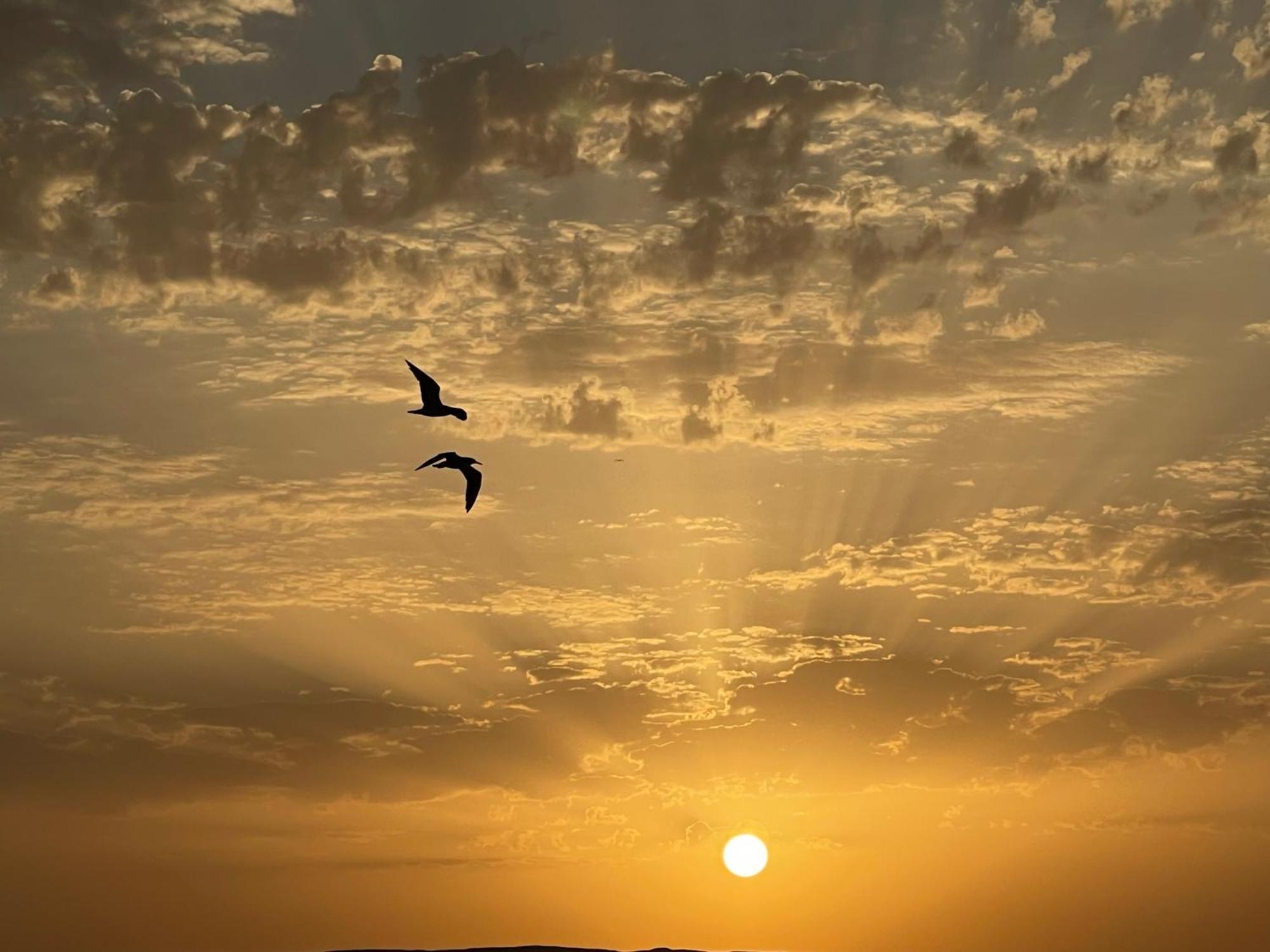 Wavesong Whispers Flat Where Enjoy Seaview With The Price * Hurghada