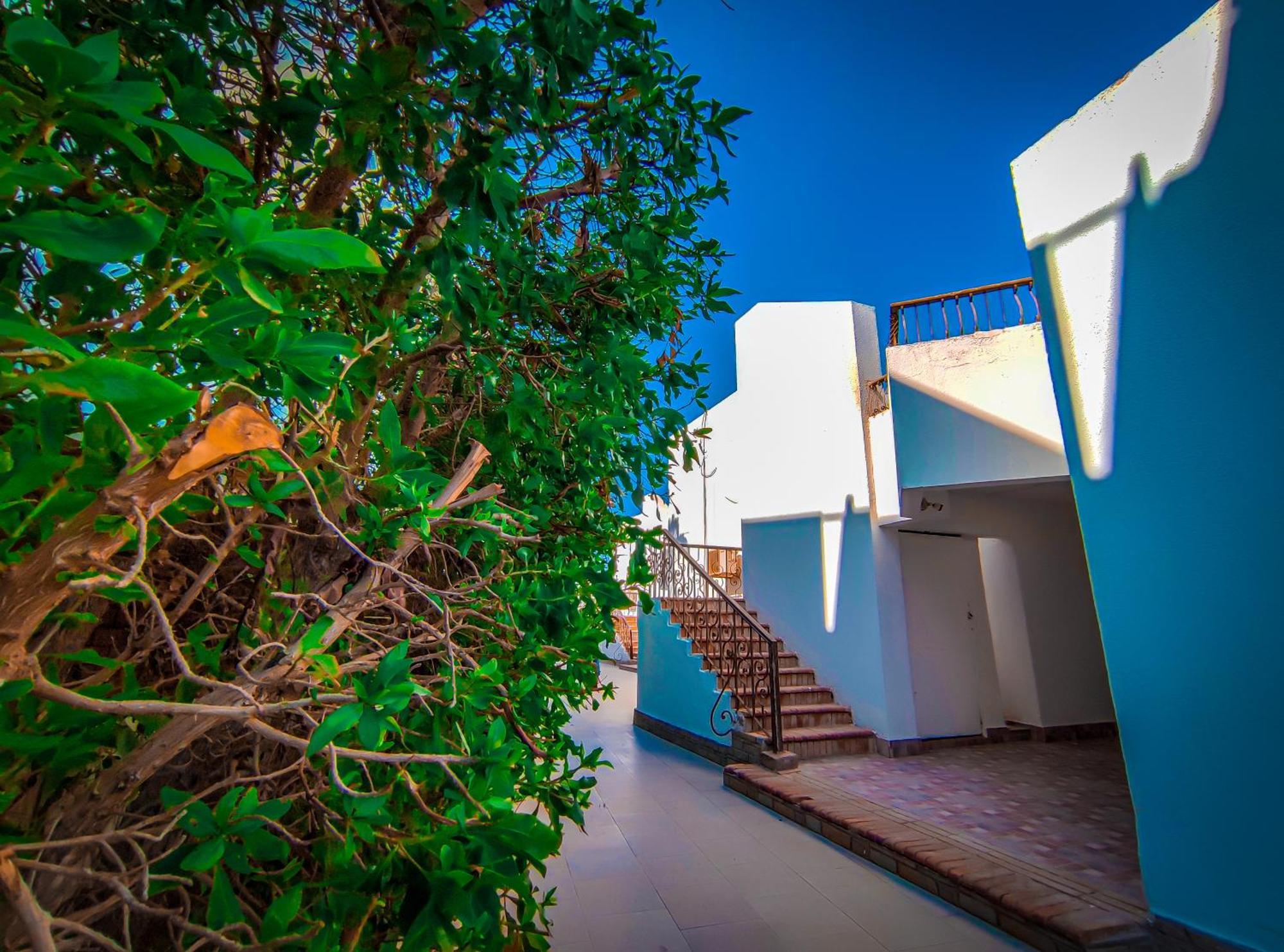 Dyarna 2* Dahab