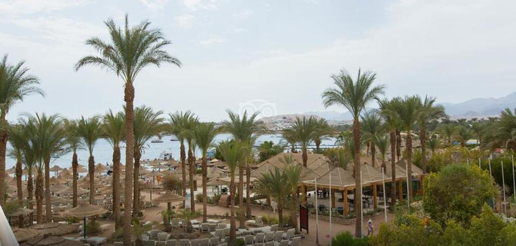 Resort Oonas Dive Club