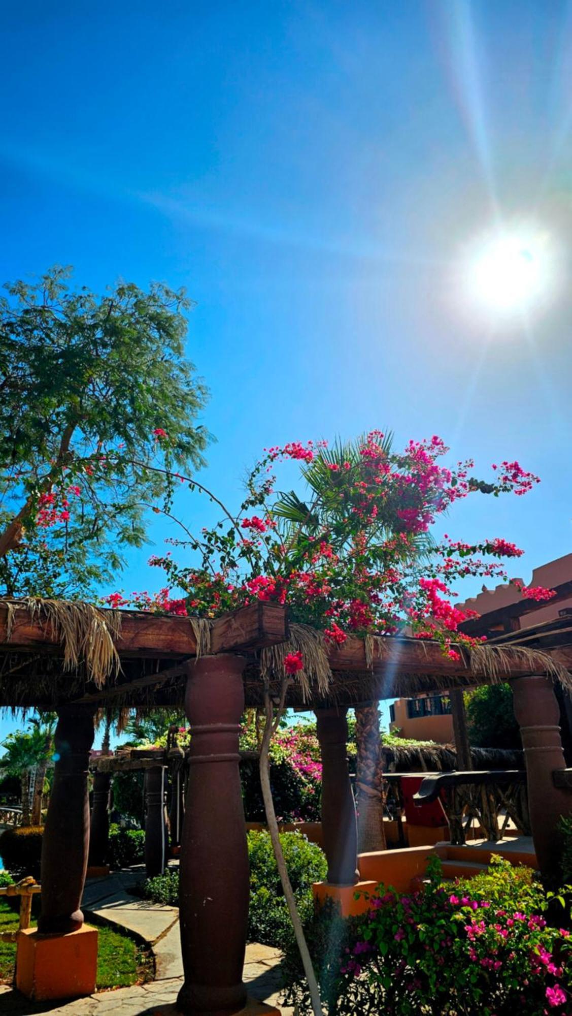 Apartment Blue Bay Delta Sharm el-Sheikh