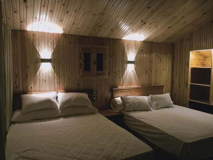 Hotel Queen Swer