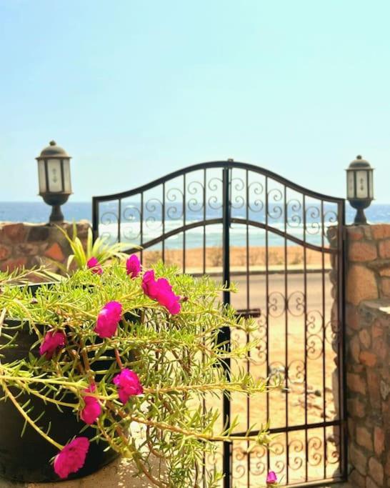 Mandala Beachfront Seaview 1 * Dahab