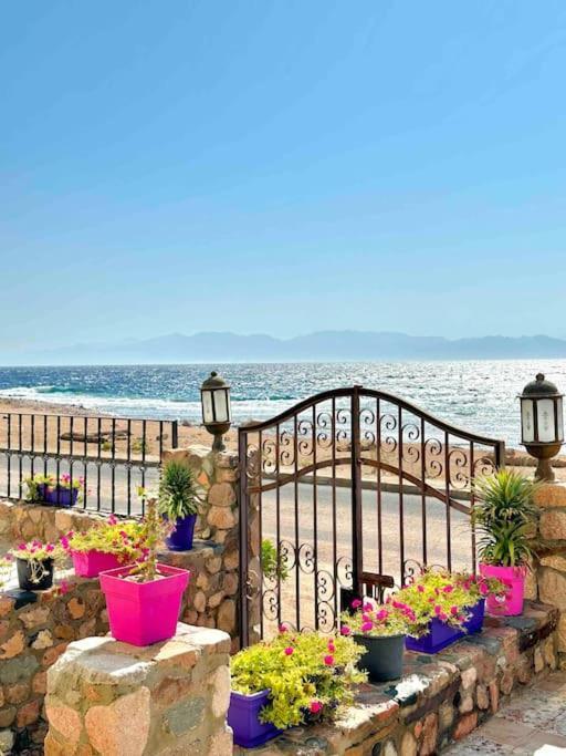 Apartment Mandala Beachfront Seaview 1