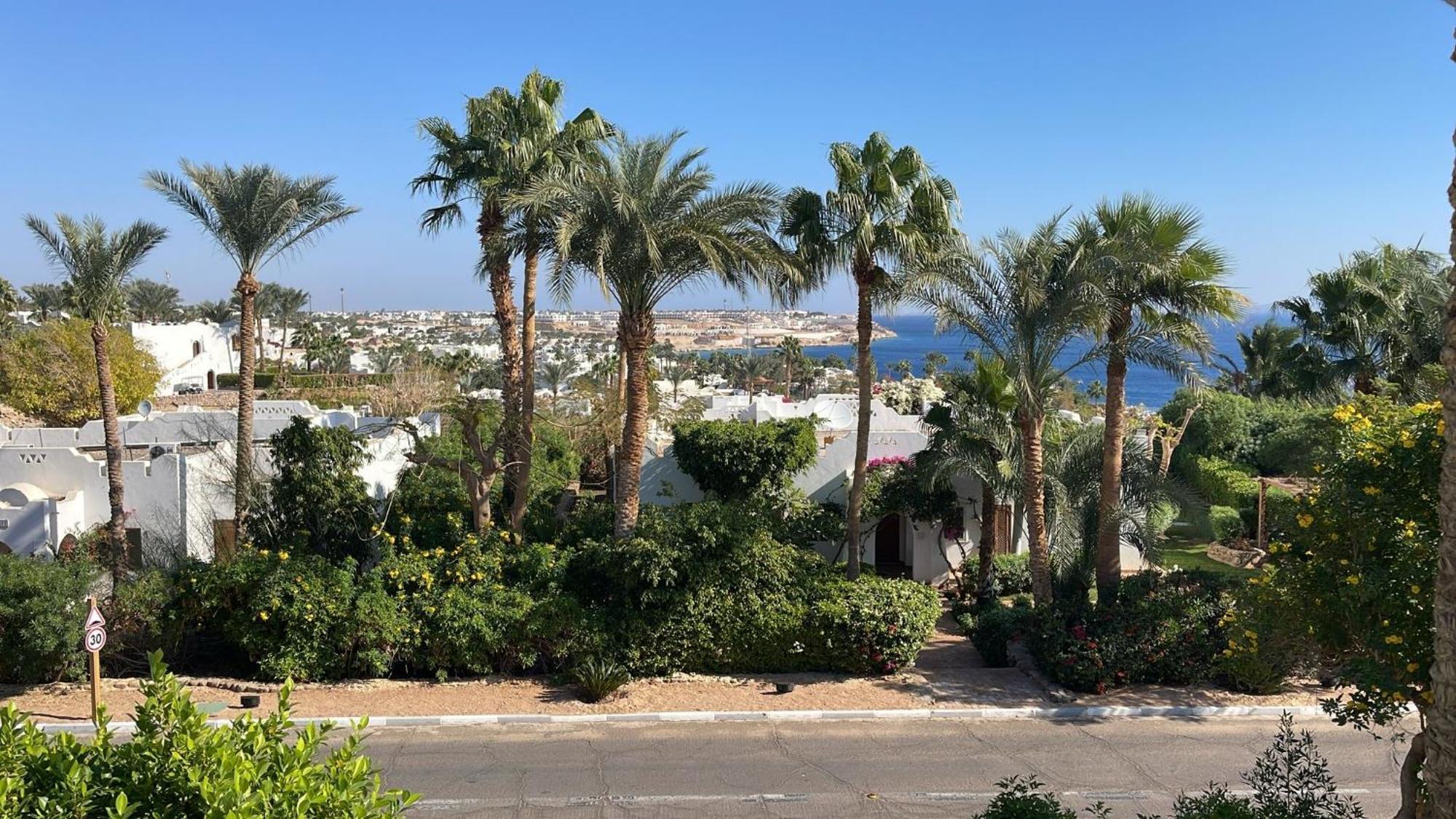 Domina Coral Bay Harem Sharm el-Sheikh