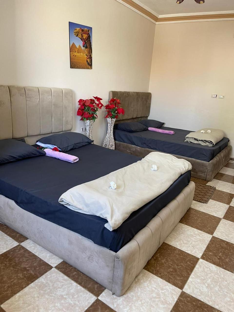 Pyramids International Hotel 3*