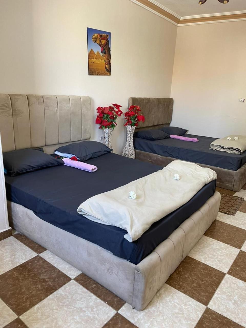 Pyramids International Hotel