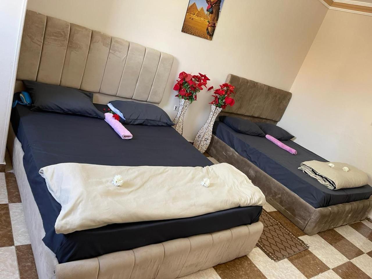 Pyramids International Hotel 3*