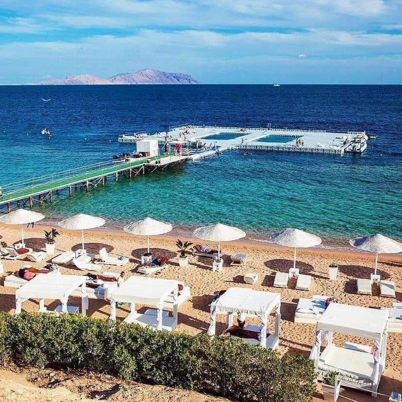 Domina Coral Bay Diving Casino Sultan 5*