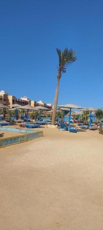 Egypt Traveler Hurghada