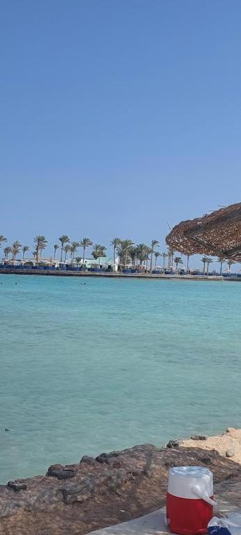 Bed & Breakfast Egypt Traveler