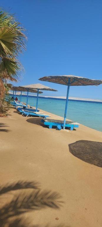 Egypt Traveler Bed & Breakfast *