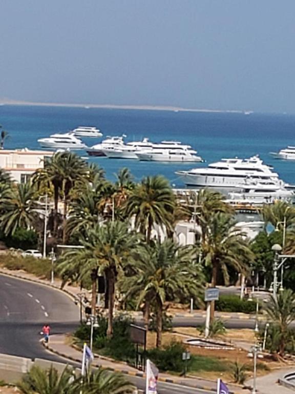 Egypt Traveler *