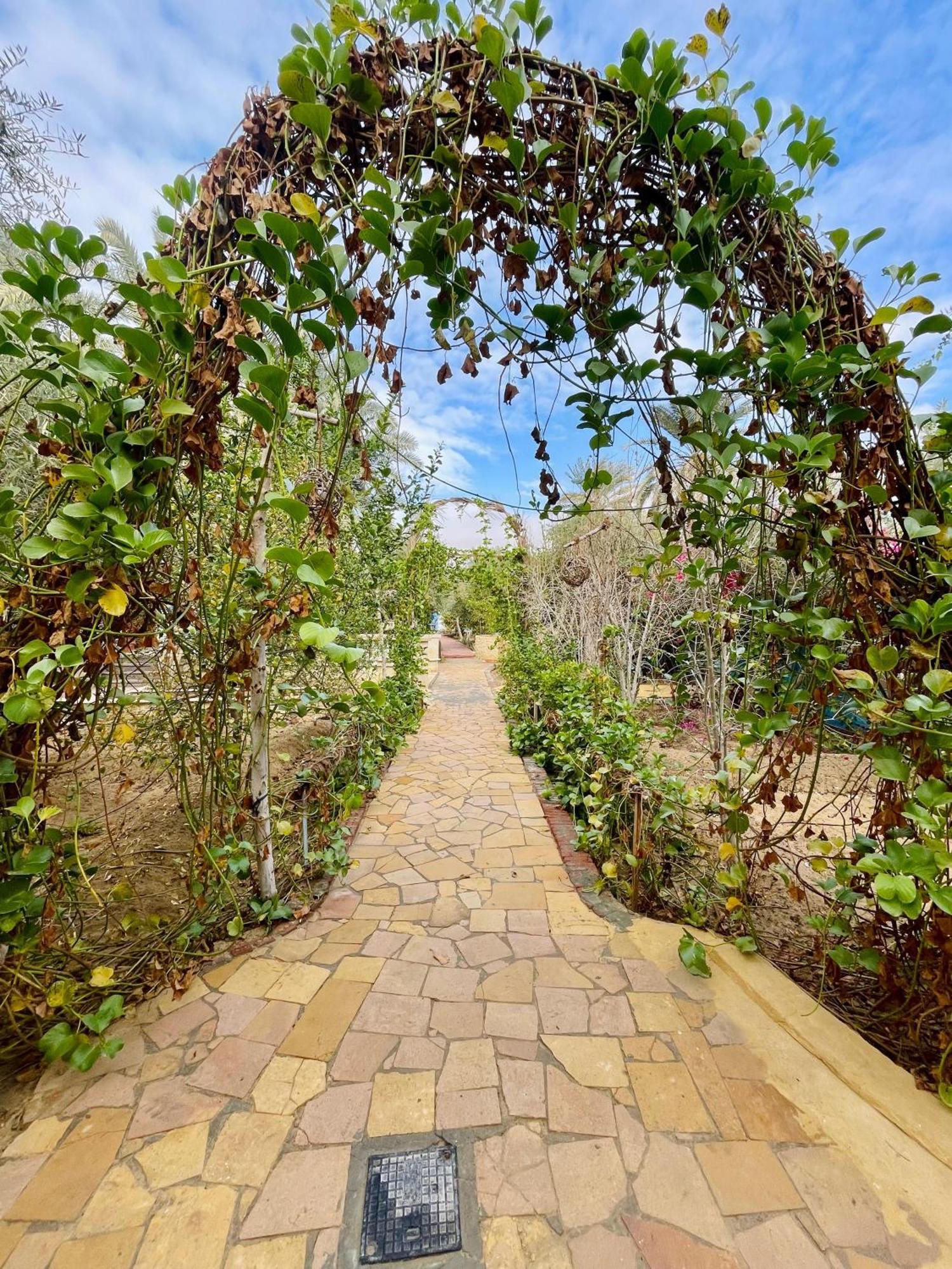 Hotel Panta Siwa بنتا لودج سيوة Siwa Oasis