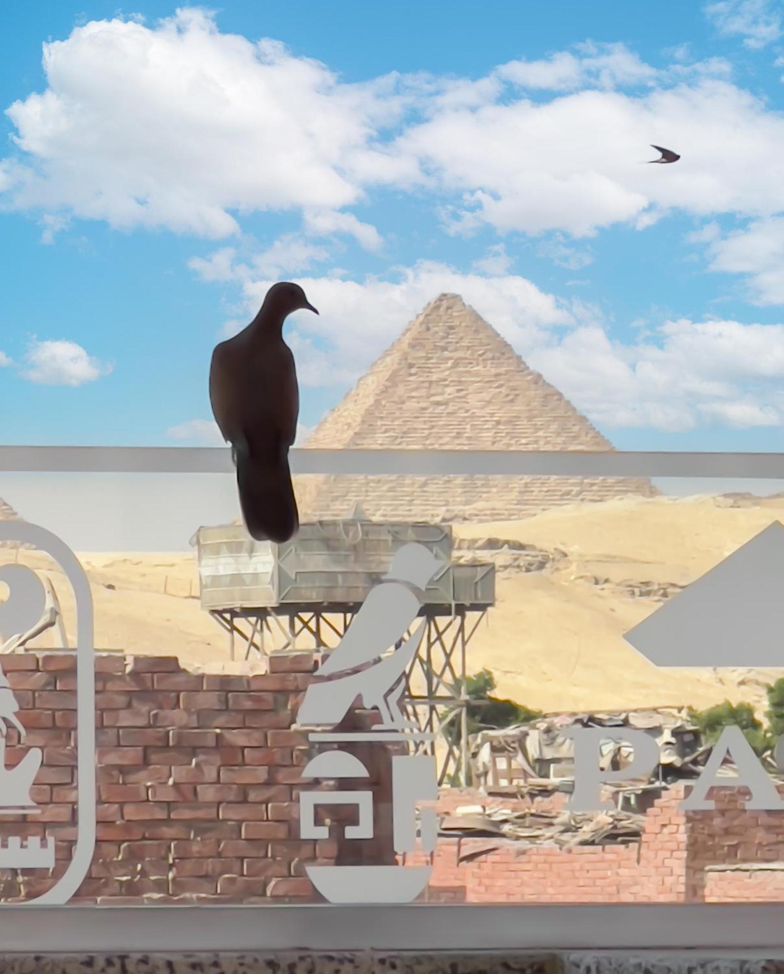 Apartment Paradise Pyramids View *