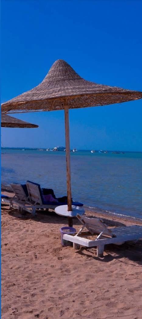 Fox House Hurghada