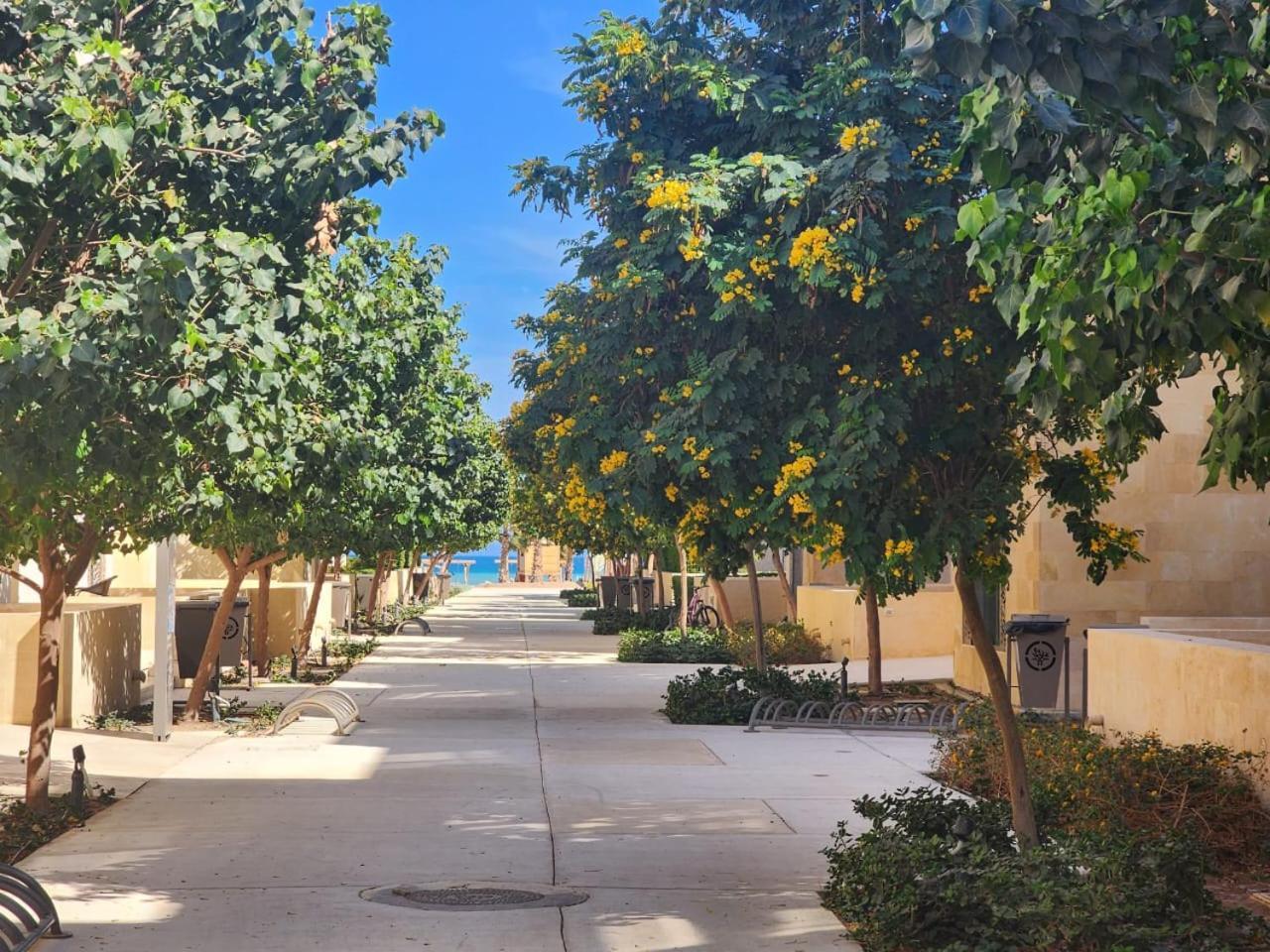 Mangroovy El Gouna A F Apartment *