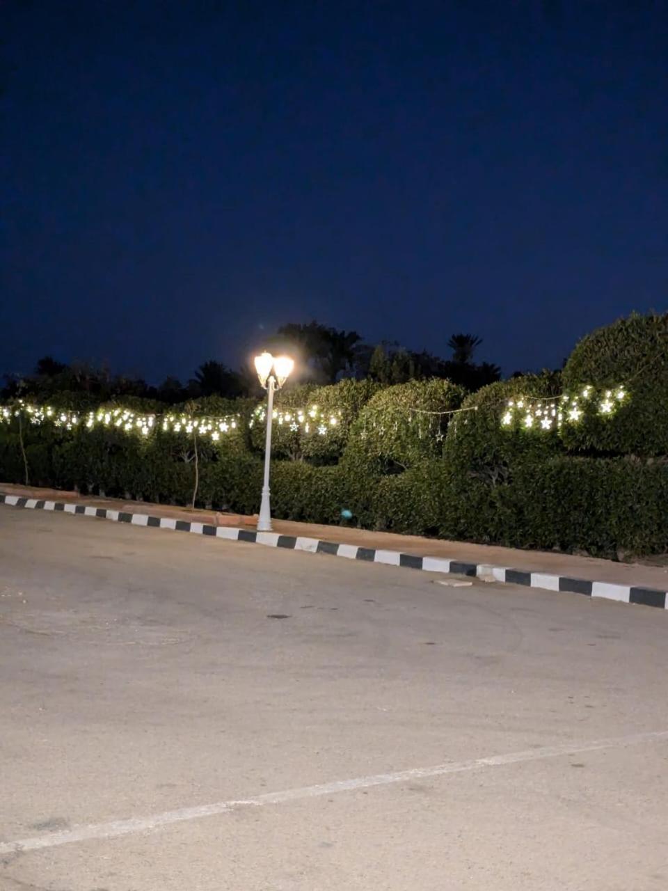 Hotel Royal