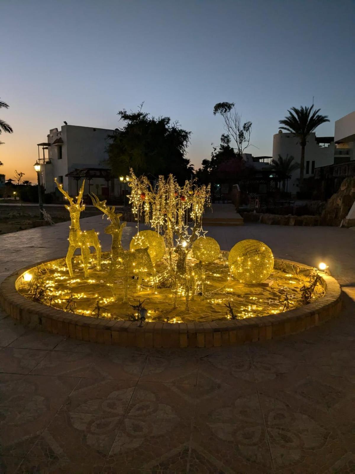 Hotel Royal 3*