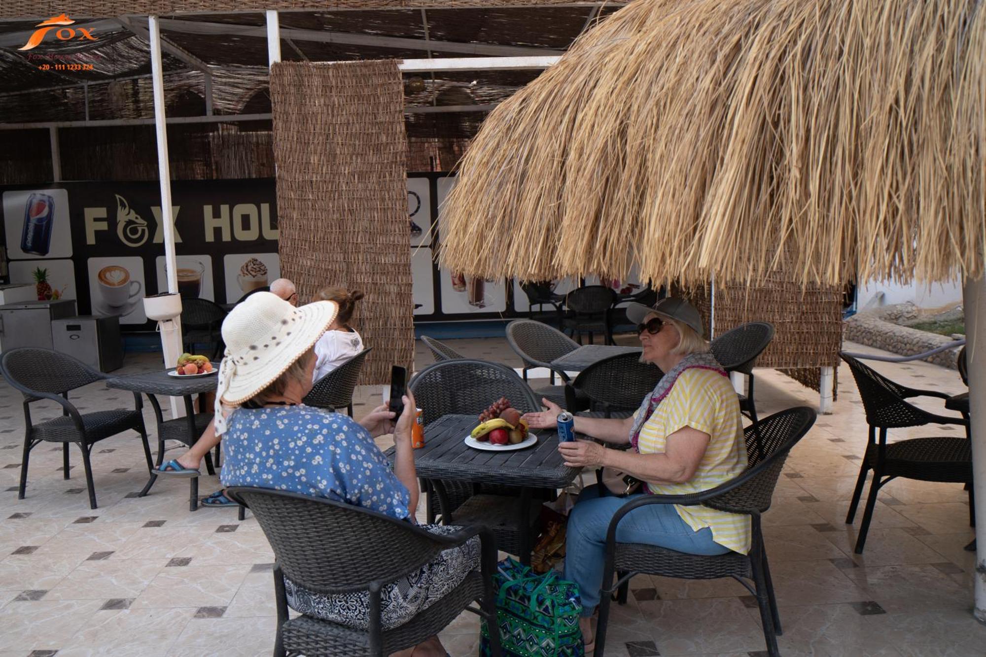 Fox Sahel Elgouna& Kite *