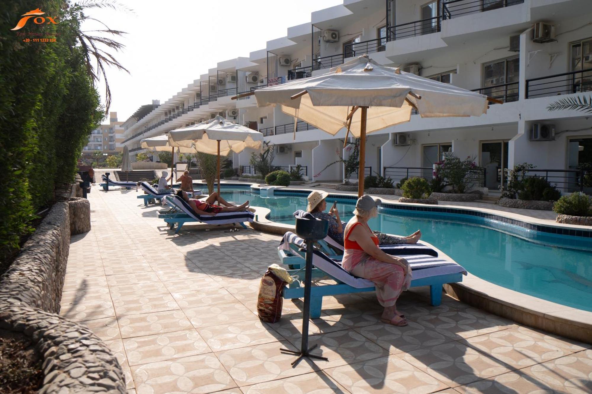 Fox Sahel Elgouna& Kite