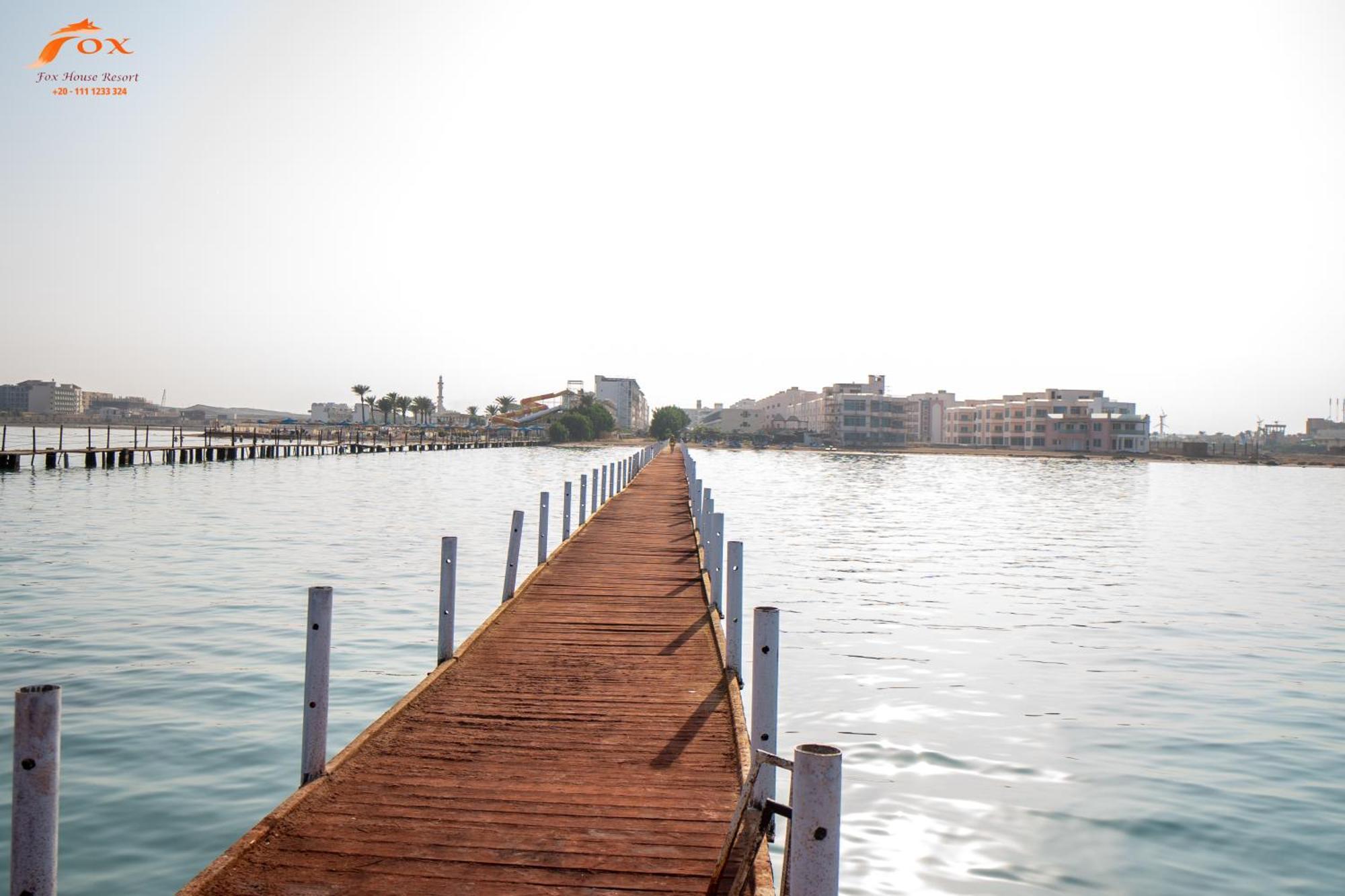Fox Sahel Elgouna& Kite