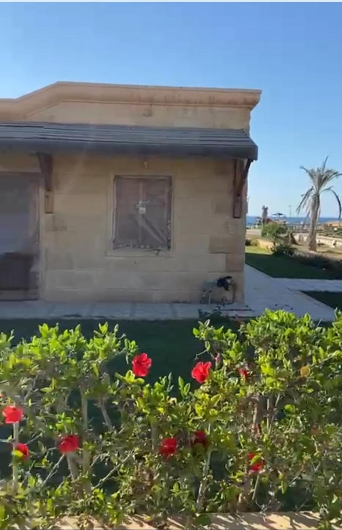 Cheerful 3 Bedroom With Garden