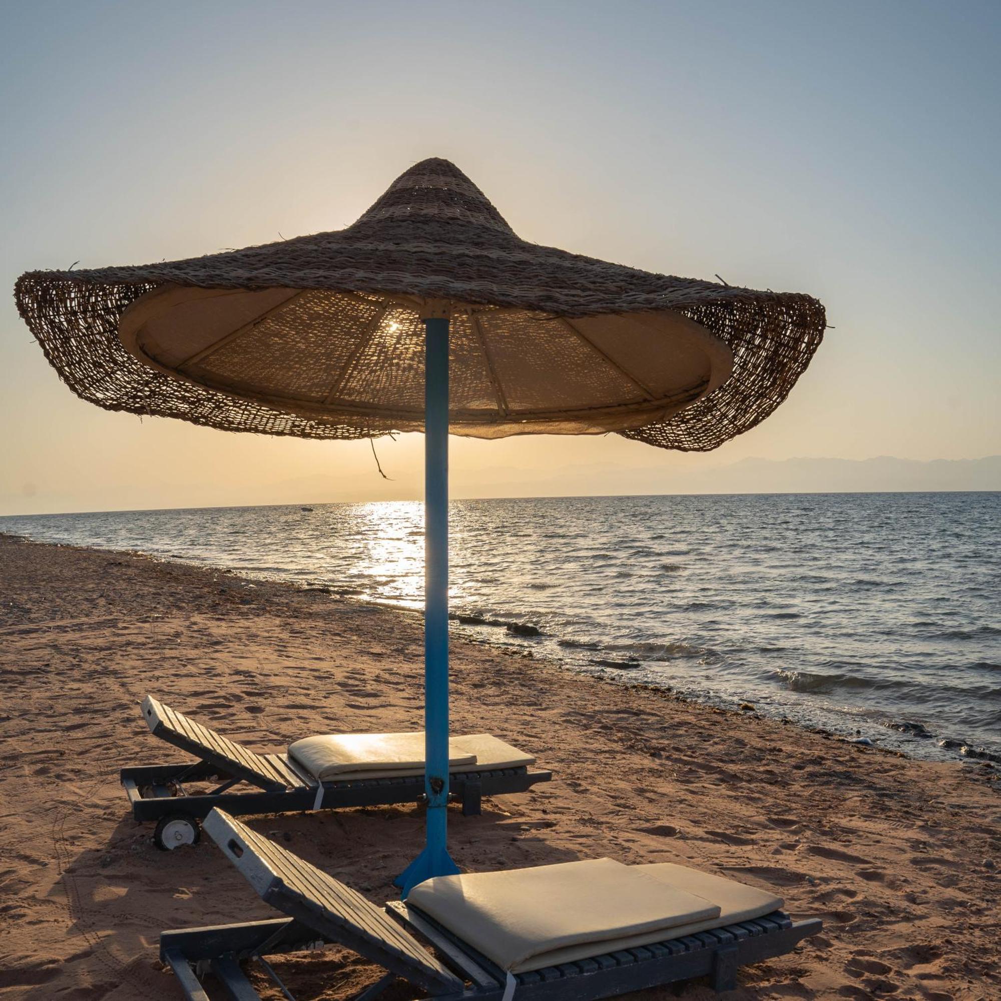 Manta Nuweiba