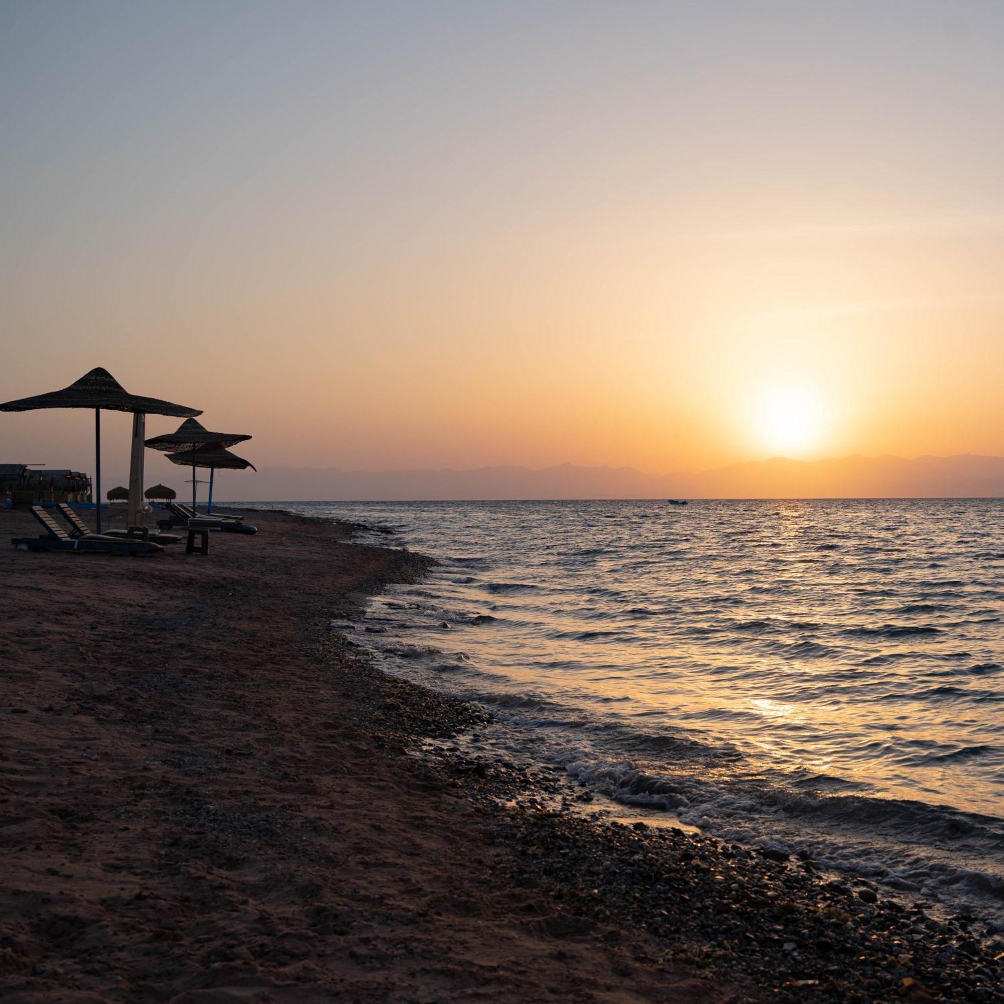 Manta Nuweiba