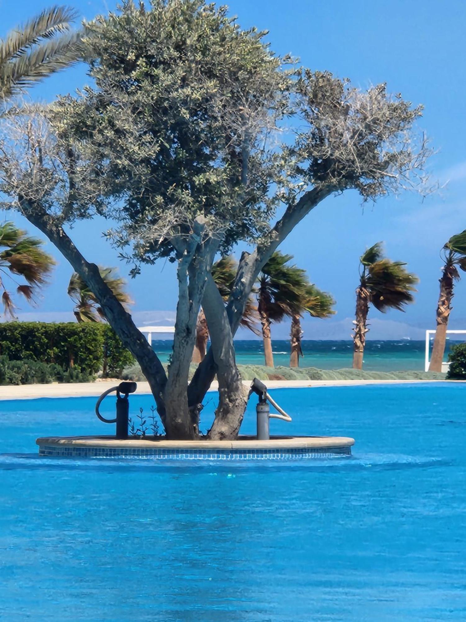 Apartment Beachfront 1br El Gouna Mangroovy Pools, Free Hurghada