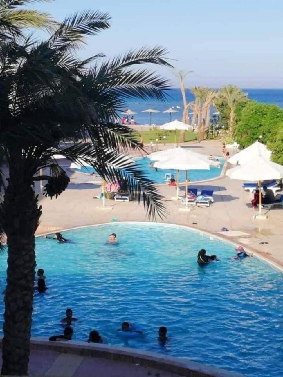 Apartment Furnished & Kitchen Seaview Beachfront Near Airport