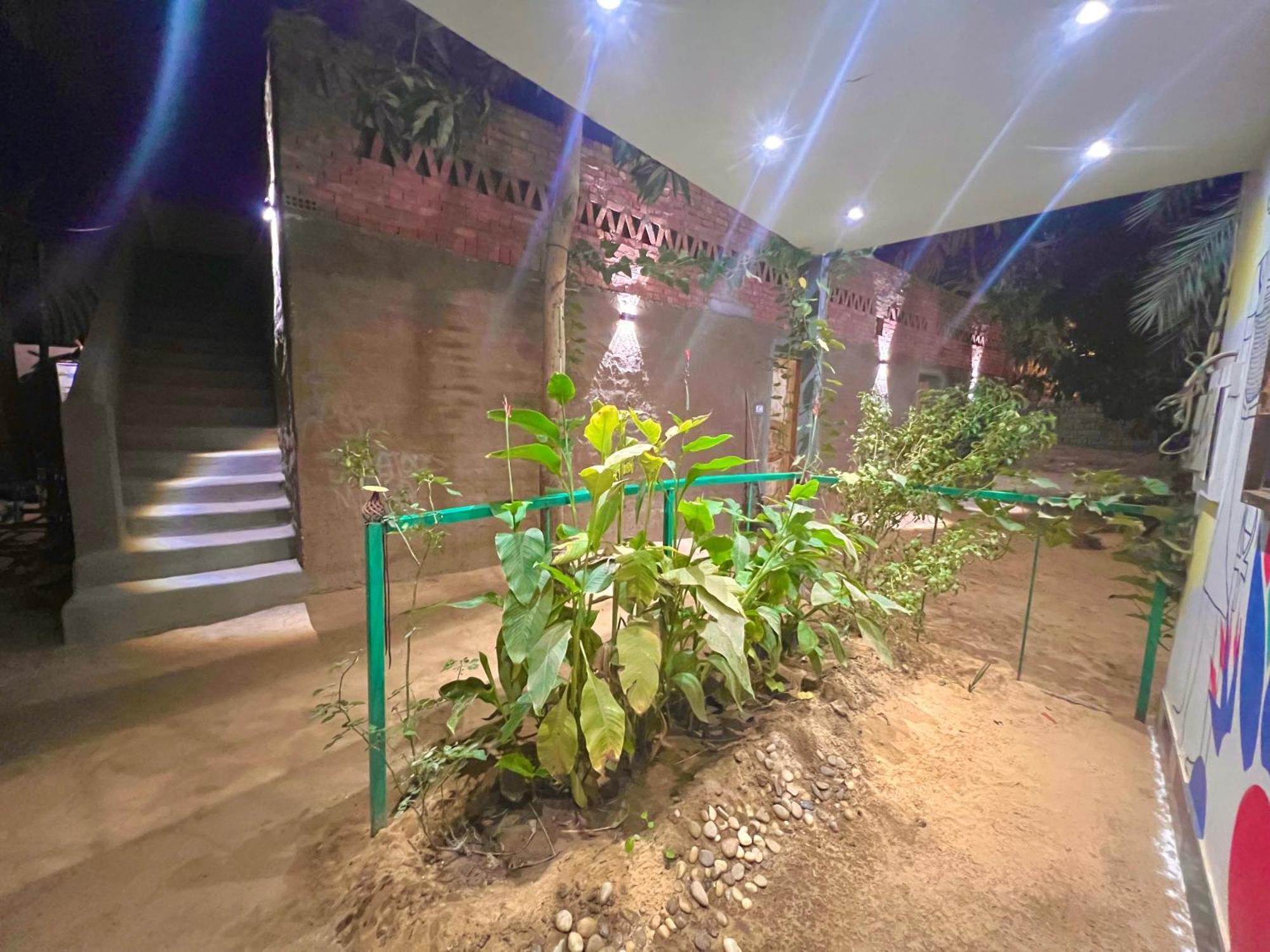 Konukevi Salatoos Mango Garden And Asvan