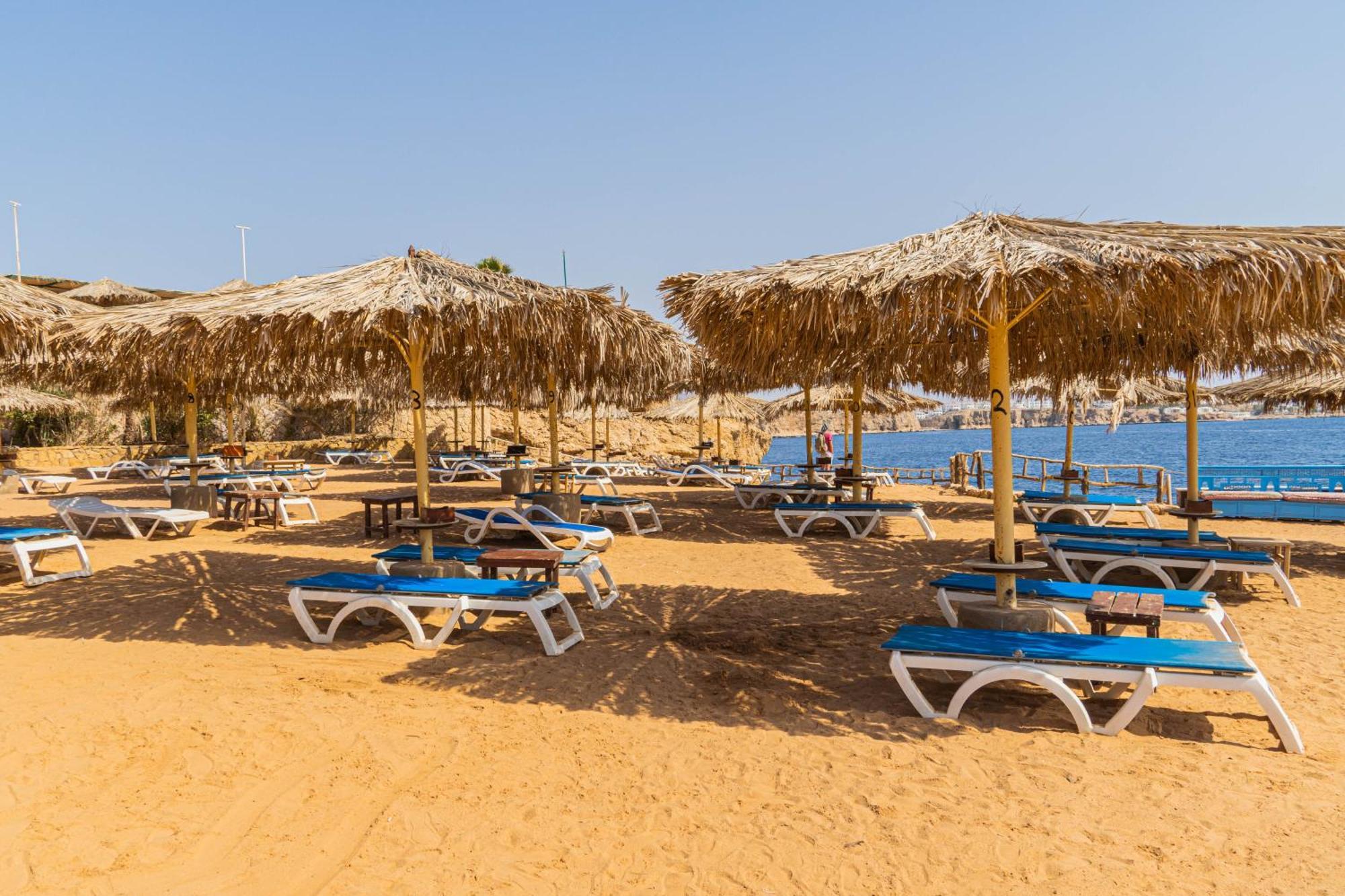 Reef Resort