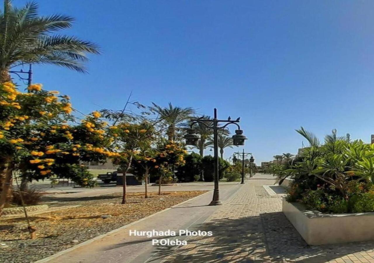 With Seaview, Amazing For Couples, Sunny & Seaview & Free Wi-fi Apartment *