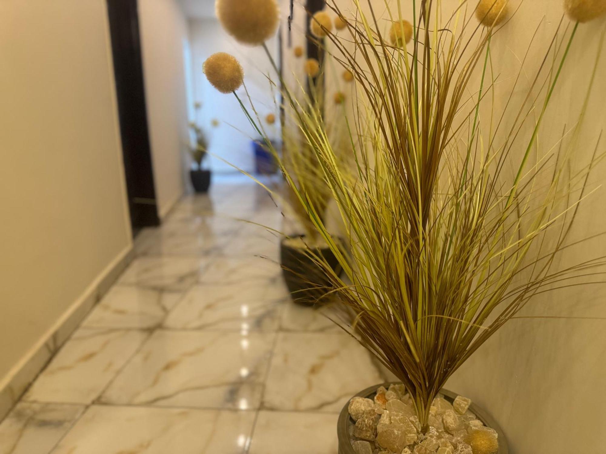 Hotel Magic Pyramids 3*