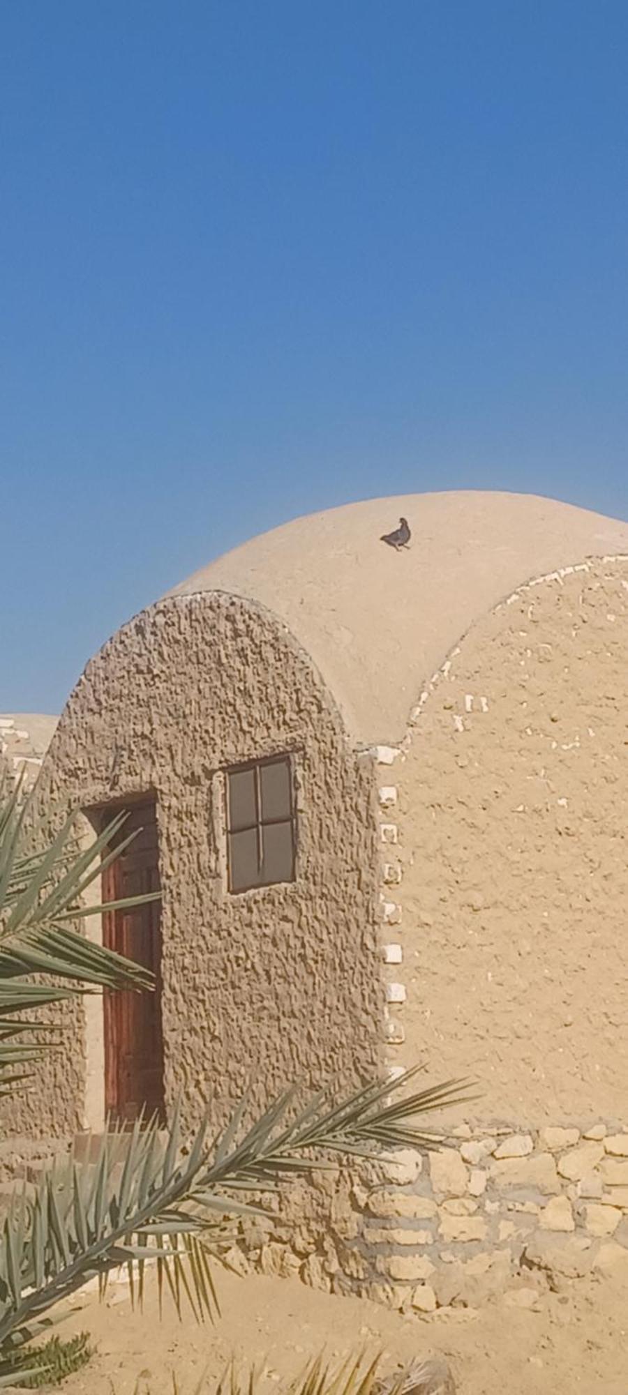 Camp Beit Al Fazani 3* Siwa Oasis