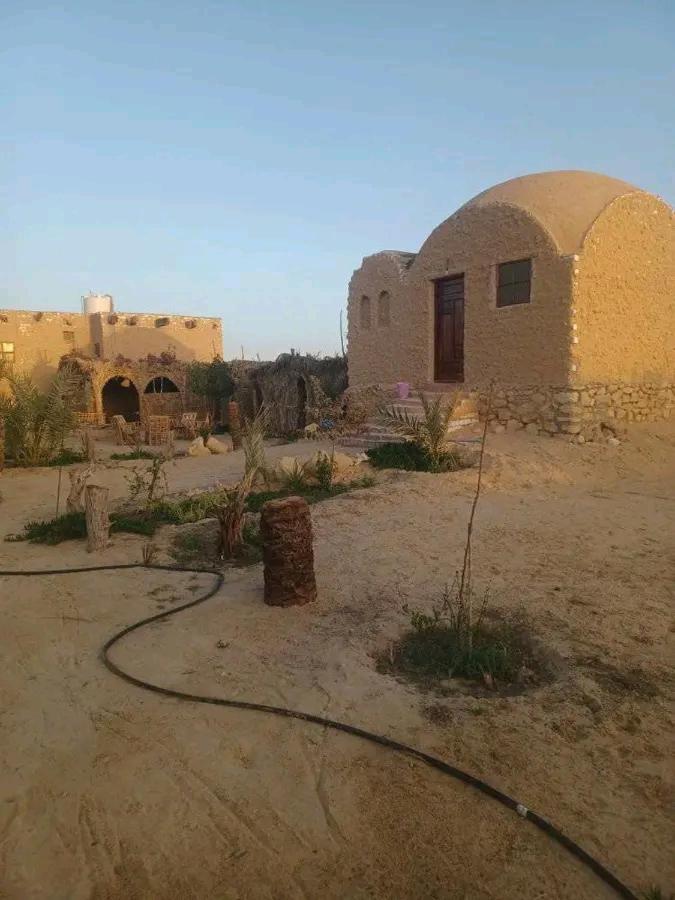 Camp Beit Al Fazani Siwa Oasis