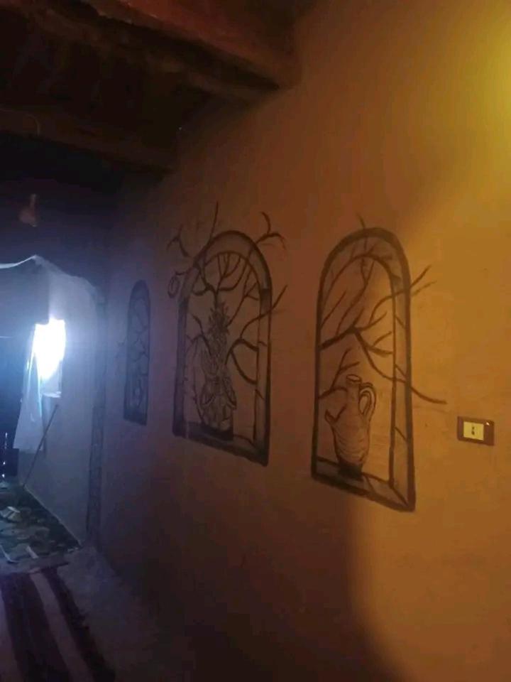 Camp Beit Al Fazani Siwa Oasis