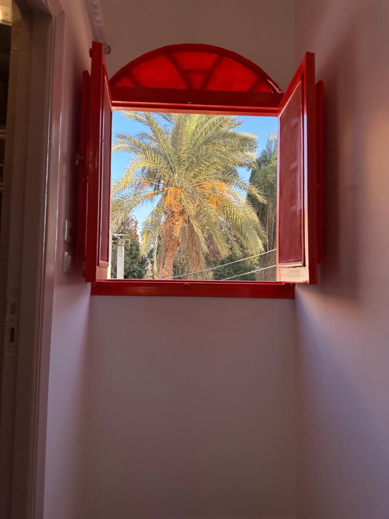 Oda ve Kahvaltı Palm Geust House *